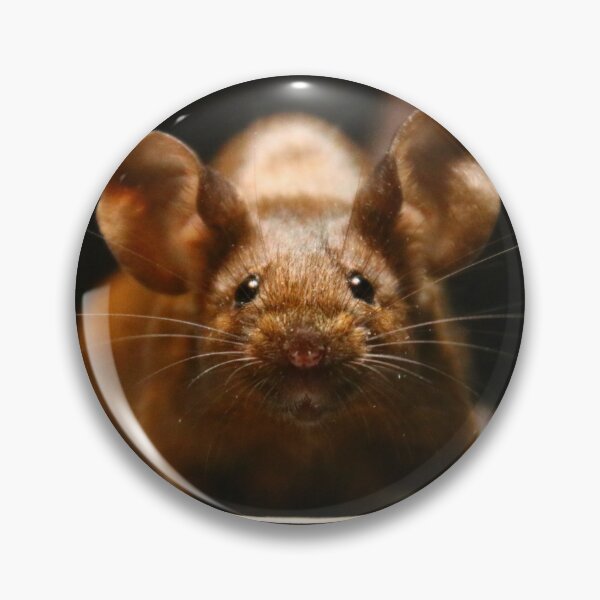 Item preview, Agouti mouse designed and sold by NovaesArt.