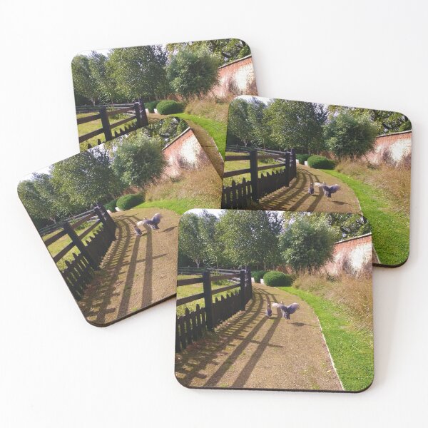 Item preview, #170 |☼| Two Birds Take A Trip Down A Path (Elsham Hall, Gardens & Country Park) designed and sold by Naean H.F. (Nez Man).