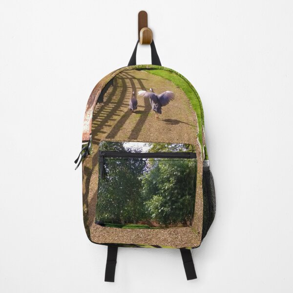 Item preview, #170 |☼| Two Birds Take A Trip Down A Path (Elsham Hall, Gardens & Country Park) designed and sold by Naean H.F. (Nez Man).