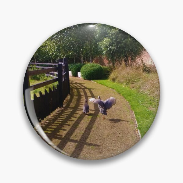 Item preview, #170 |☼| Two Birds Take A Trip Down A Path (Elsham Hall, Gardens & Country Park) designed and sold by Naean H.F. (Nez Man).