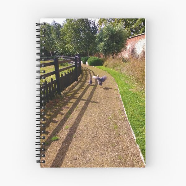 Item preview, #170 |☼| Two Birds Take A Trip Down A Path (Elsham Hall, Gardens & Country Park) designed and sold by Naean H.F. (Nez Man).