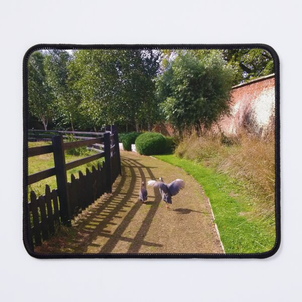 Item preview, #170 |☼| Two Birds Take A Trip Down A Path (Elsham Hall, Gardens & Country Park) designed and sold by Naean H.F. (Nez Man).