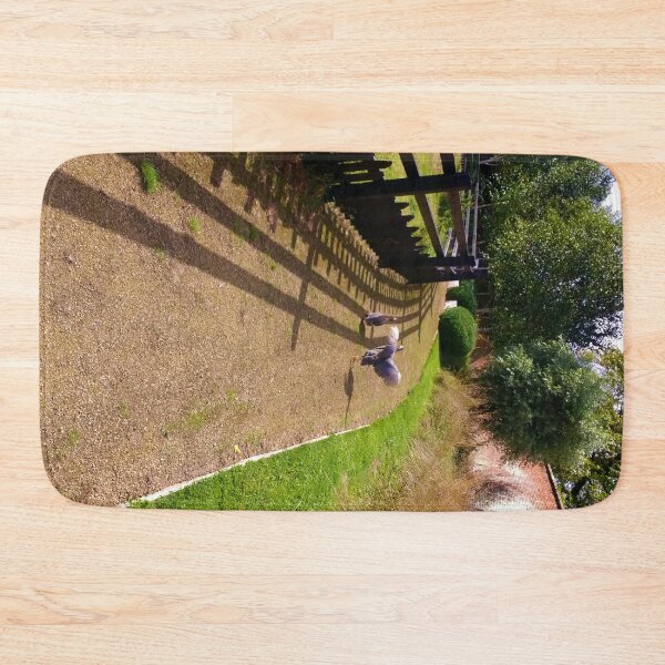 Item preview, #170 |☼| Two Birds Take A Trip Down A Path (Elsham Hall, Gardens & Country Park) designed and sold by Naean H.F. (Nez Man).