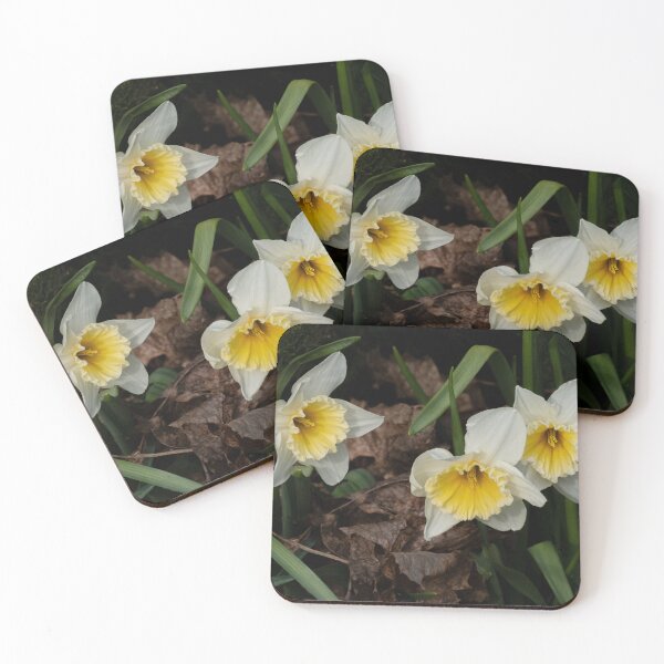 Item preview, Daffodils Emerging from the Detritus of Winter designed and sold by Gerda Grice Photography.