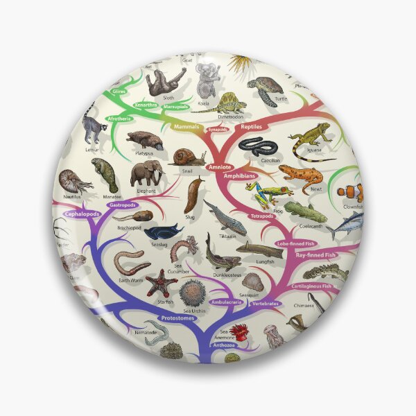 Item preview, Animal and Plant Evolution - Tree of Life Poster - English designed and sold by EvolutionPoster.