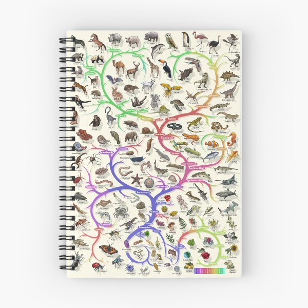 Item preview, Animal and Plant Evolution - Tree of Life Poster - English designed and sold by EvolutionPoster.