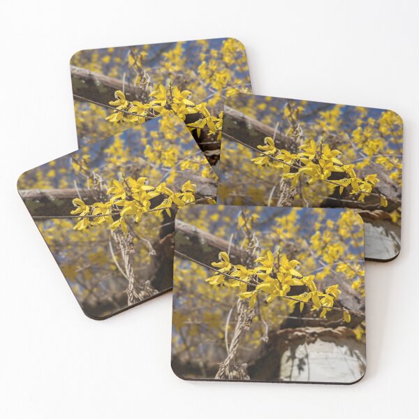 Item preview, Forsythia on the Birch  designed and sold by Jkund19.