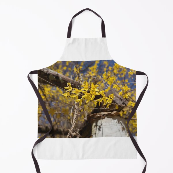 Item preview, Forsythia on the Birch designed and sold by Jkund19.