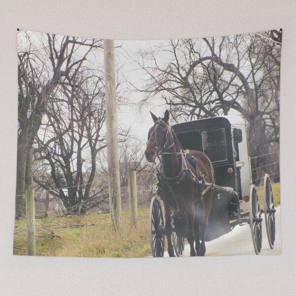 Item preview, Lancaster designed and sold by KirstenJRenfroe.