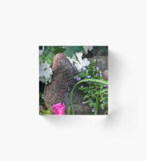 Hen Planter Among The Beauty Acrylic Block