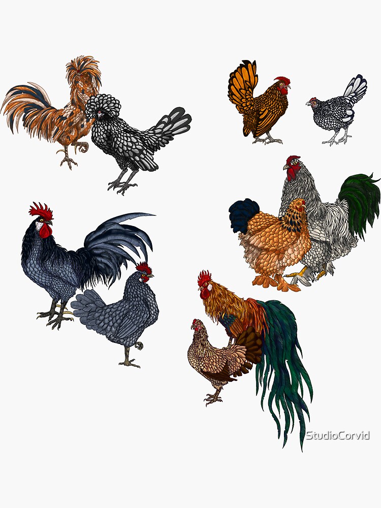  Brahma Chickens 2 Inch Full Color Static Window Cling