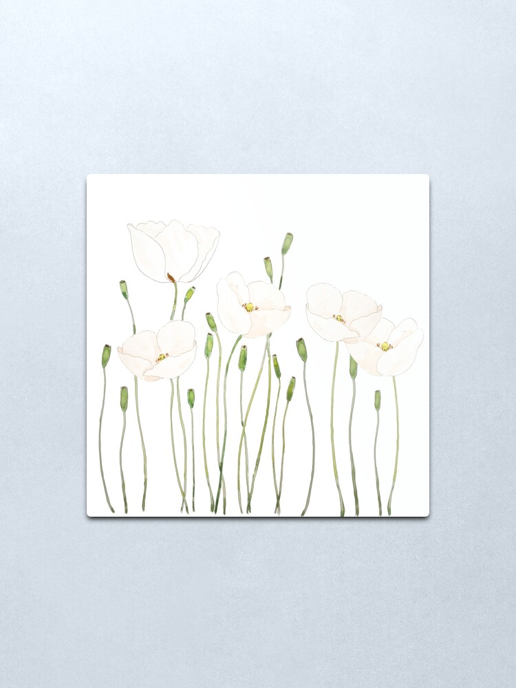 Alternate view of white poppy watercolor horizontal  Metal Print