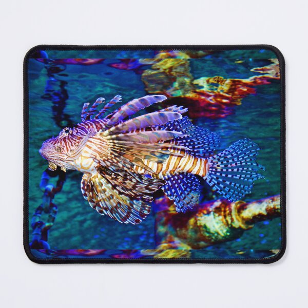 Item preview, Lionfish designed and sold by Savannah Gibbs.