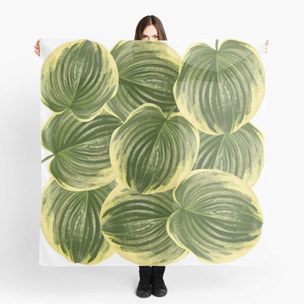 Item preview, Variegated Hosta Leaves designed and sold by EveryDayDabble.