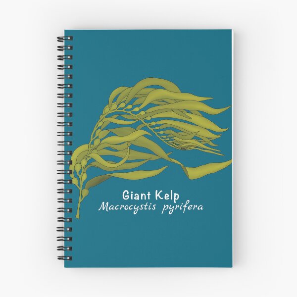 Item preview, Giant Kelp - Macrocystis pyrifera (with name) designed and sold by WestCoastWoods.