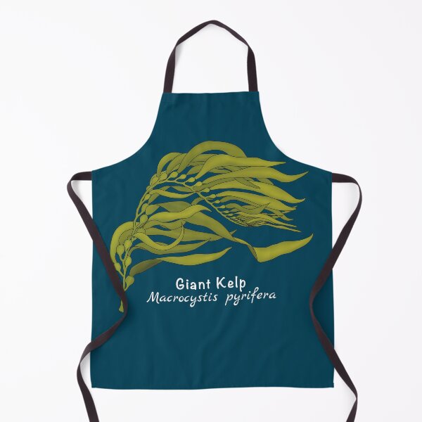 Item preview, Giant Kelp - Macrocystis pyrifera (with name) designed and sold by WestCoastWoods.