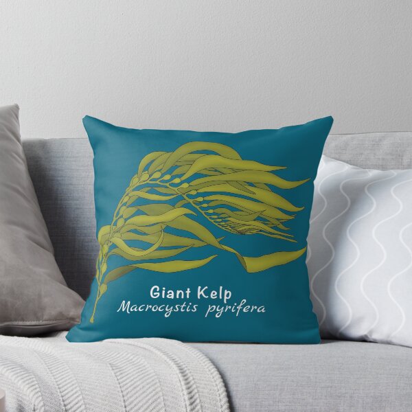 Item preview, Alga gigante - Macrocystis pyrifera (con nombre) designed and sold by WestCoastWoods.