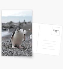 THIEF! Postcards