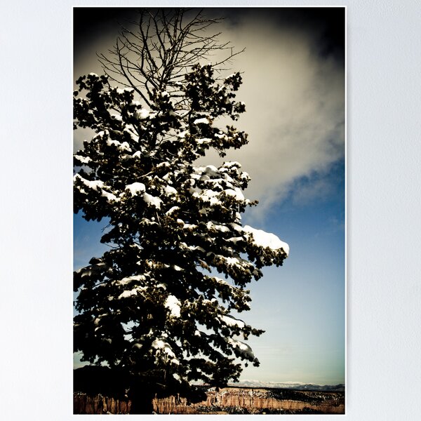 Item preview, Tree Again! designed and sold by Jonathan Yeo.