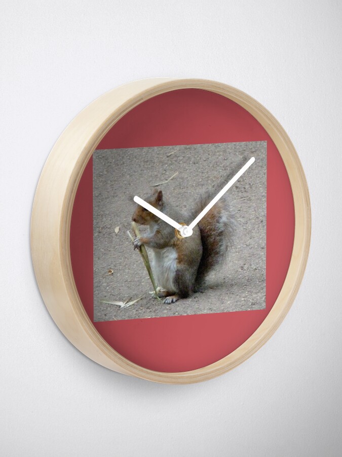 Alternate view of Squirrel. Kew gardens. London Clock
