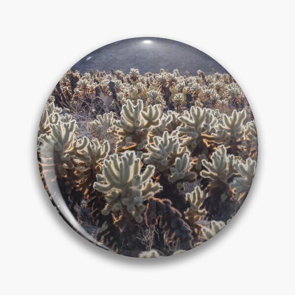 Item preview, Cholla Cactus Garden Before Sunset designed and sold by thatche2.