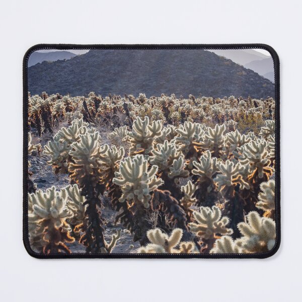 Item preview, Cholla Cactus Garden Before Sunset designed and sold by thatche2.