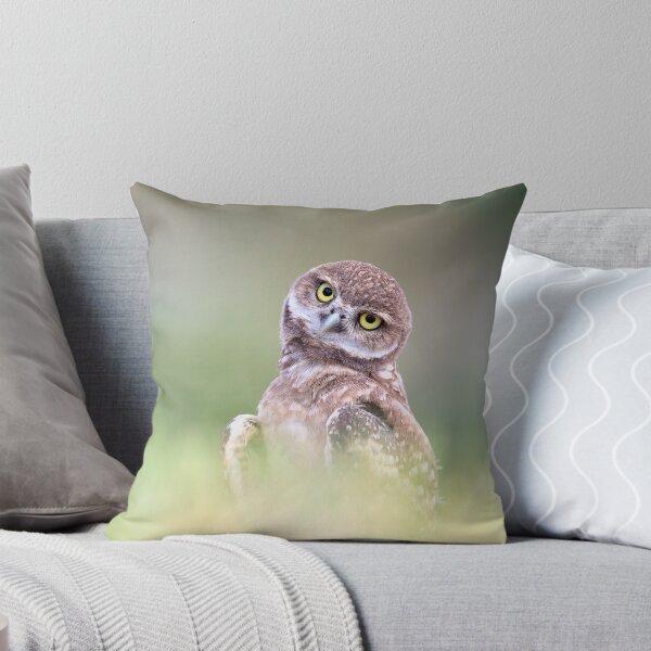Item preview, Curious Baby Owl designed and sold by mlorenz.