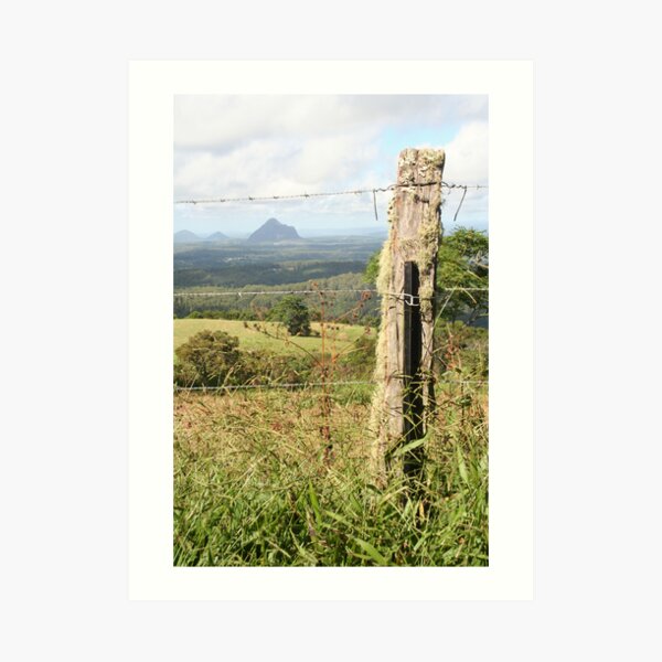 The Fence Art Print