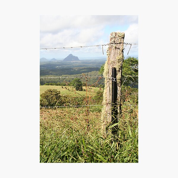 The Fence Photographic Print