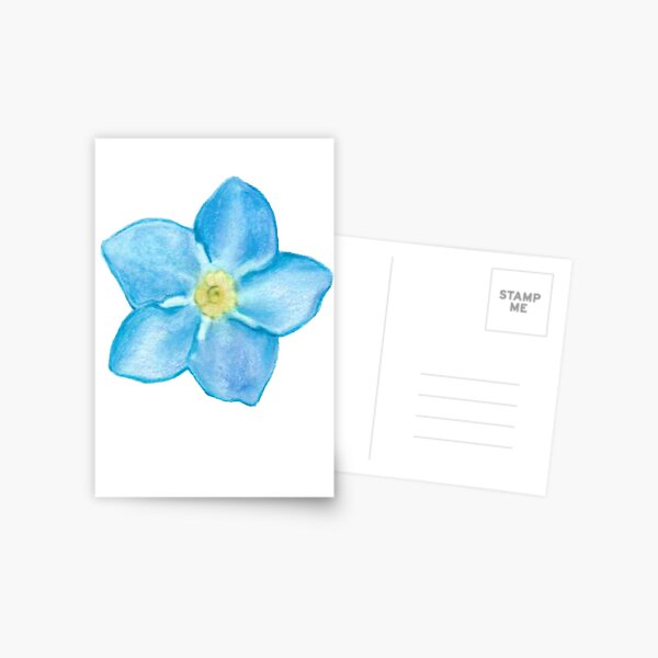 Forget me not Postcard
