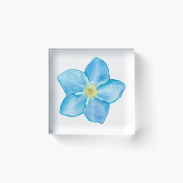 Forget me not Acrylic Block