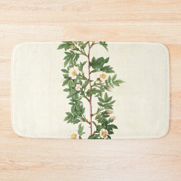 Item preview, Rosa Aciphylla; Rosier de Chien, variete designed and sold by linggalibrary.