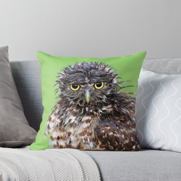 Item preview, Wet Owl designed and sold by mlorenz.