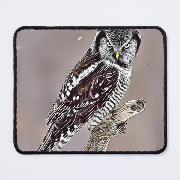 Item preview, Hawk Owl designed and sold by Manar-hamad.