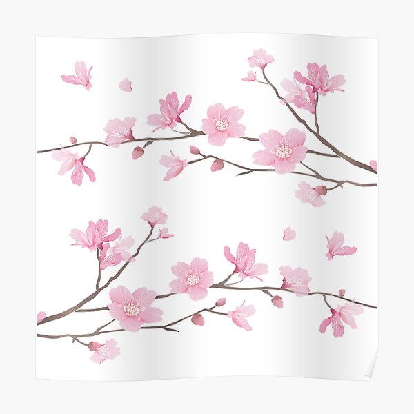Cherry Blossom - Transparent Background Poster