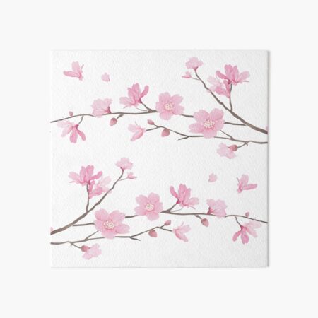 Cherry Blossom flower plant - Transparent Background Art Board Print