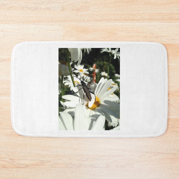 Item preview, Walk of the longhorn designed and sold by mthyselius.