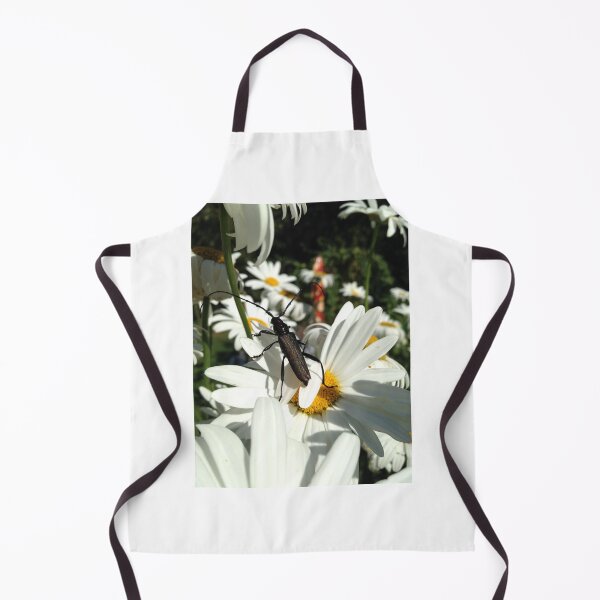 Item preview, Walk of the longhorn designed and sold by mthyselius.