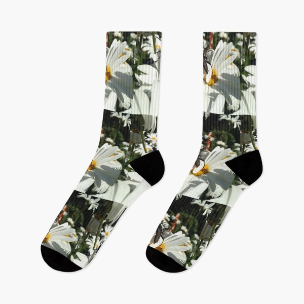 Item preview, Walk of the longhorn designed and sold by mthyselius.