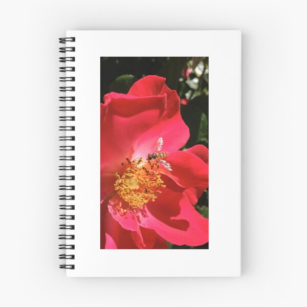 Artikelvorschau, Rote rote Rose entworfen und verkauft von mthyselius.