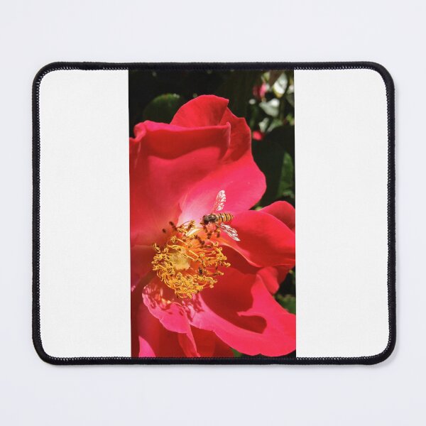 Item preview, Red red rose designed and sold by mthyselius.