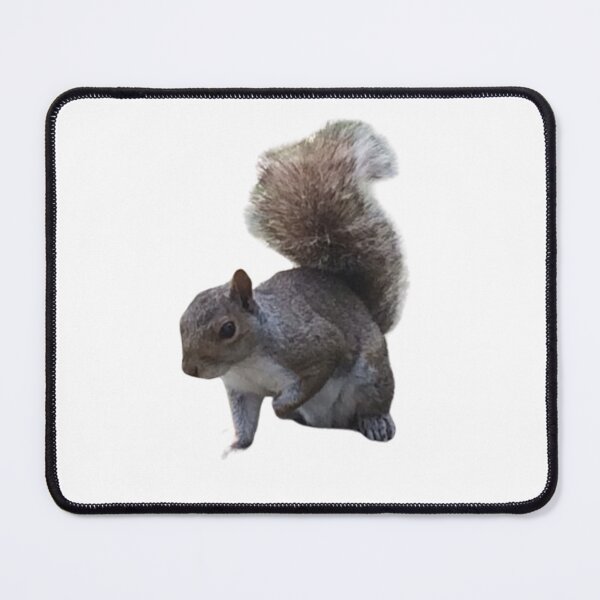 Item preview, Beautiful Squirrel designed and sold by boomantique.
