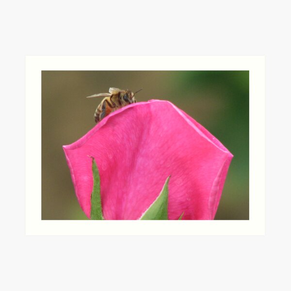 Bee-Gone Art Print