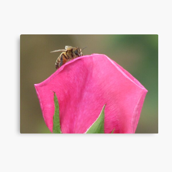 Bee-Gone Metal Print