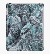 Fox Glacier 5 iPad Case/Skin
