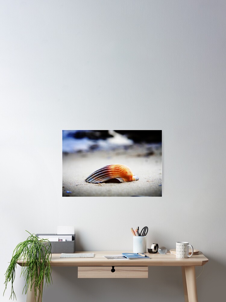Thumbnail 2 of 3, Poster, S h e l l designed and sold by Loco.