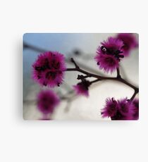 Silken Canvas Print