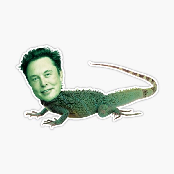 Lizard Elon Musk" Sticker for Sale by M1lkslyvan | Redbubble