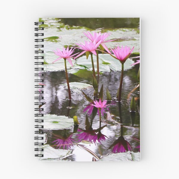 Item preview, Pink Water Lilies designed and sold by Robyn Williams.