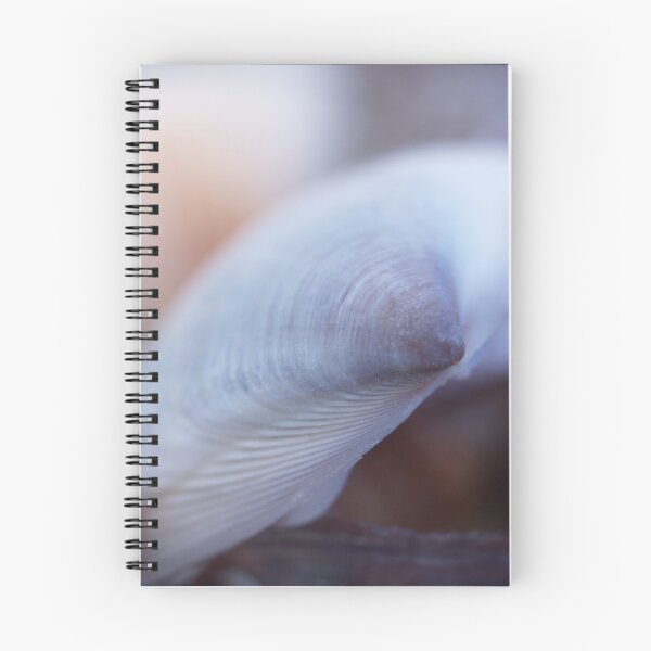 Item preview, Shell Blue designed and sold by Jo  Young.